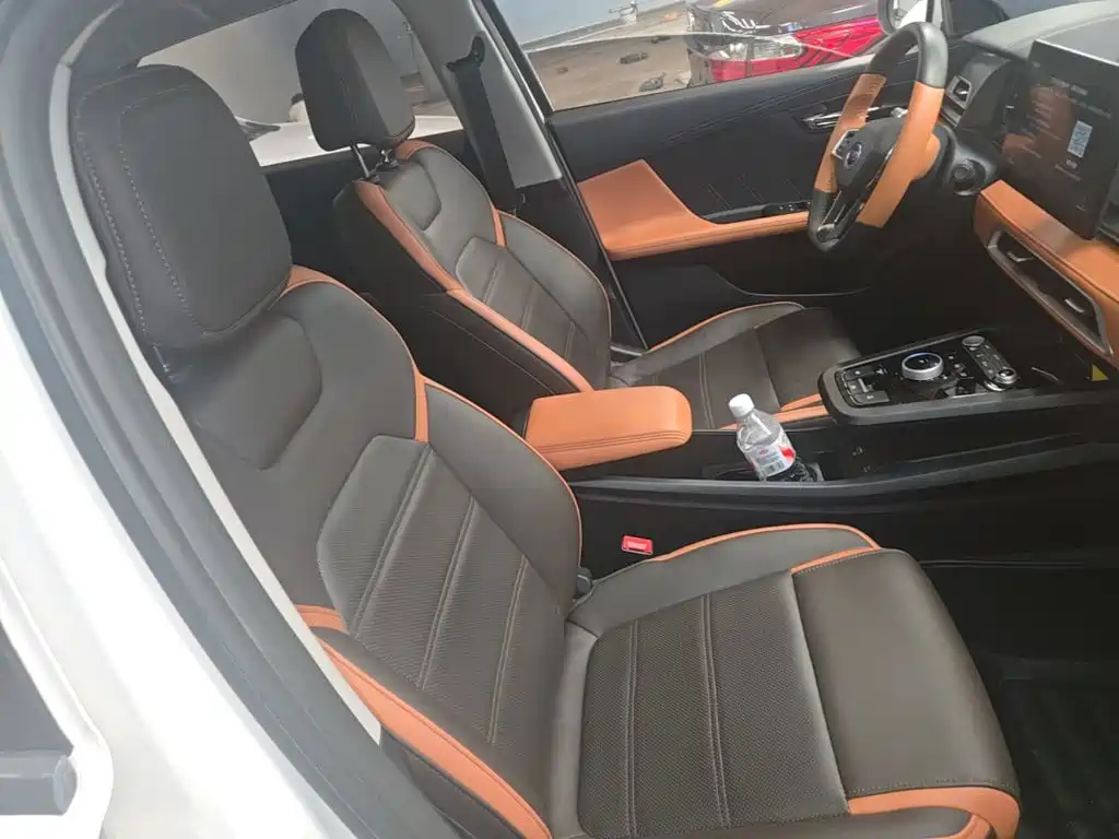 BYD e2 2021 2021 Luxury Edition