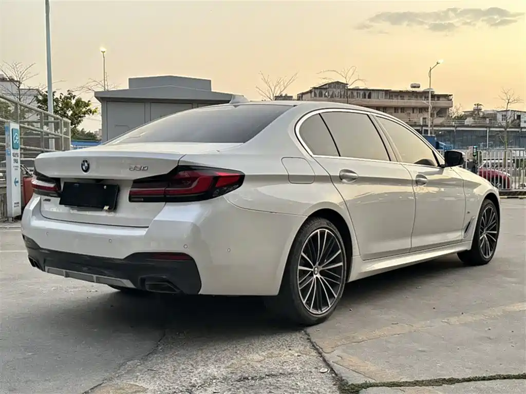 BMW 5 Series 2021 530Li xDrive M Sport Package фото 30