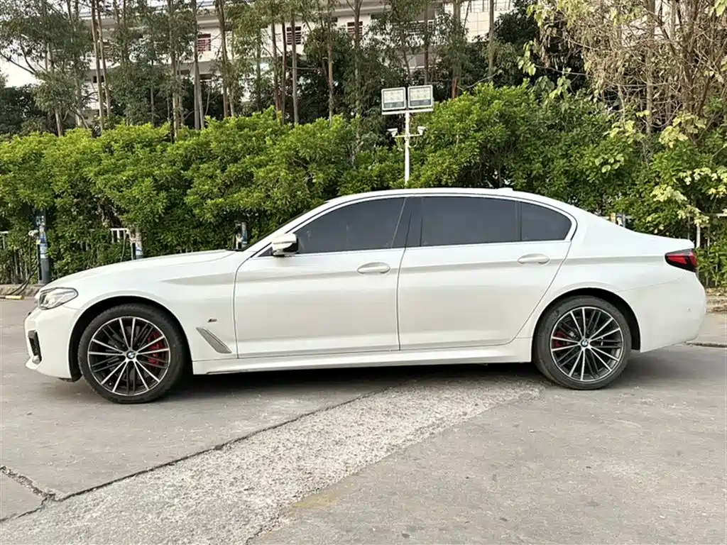 BMW 5 Series 2021 530Li xDrive M Sport Package фото 27