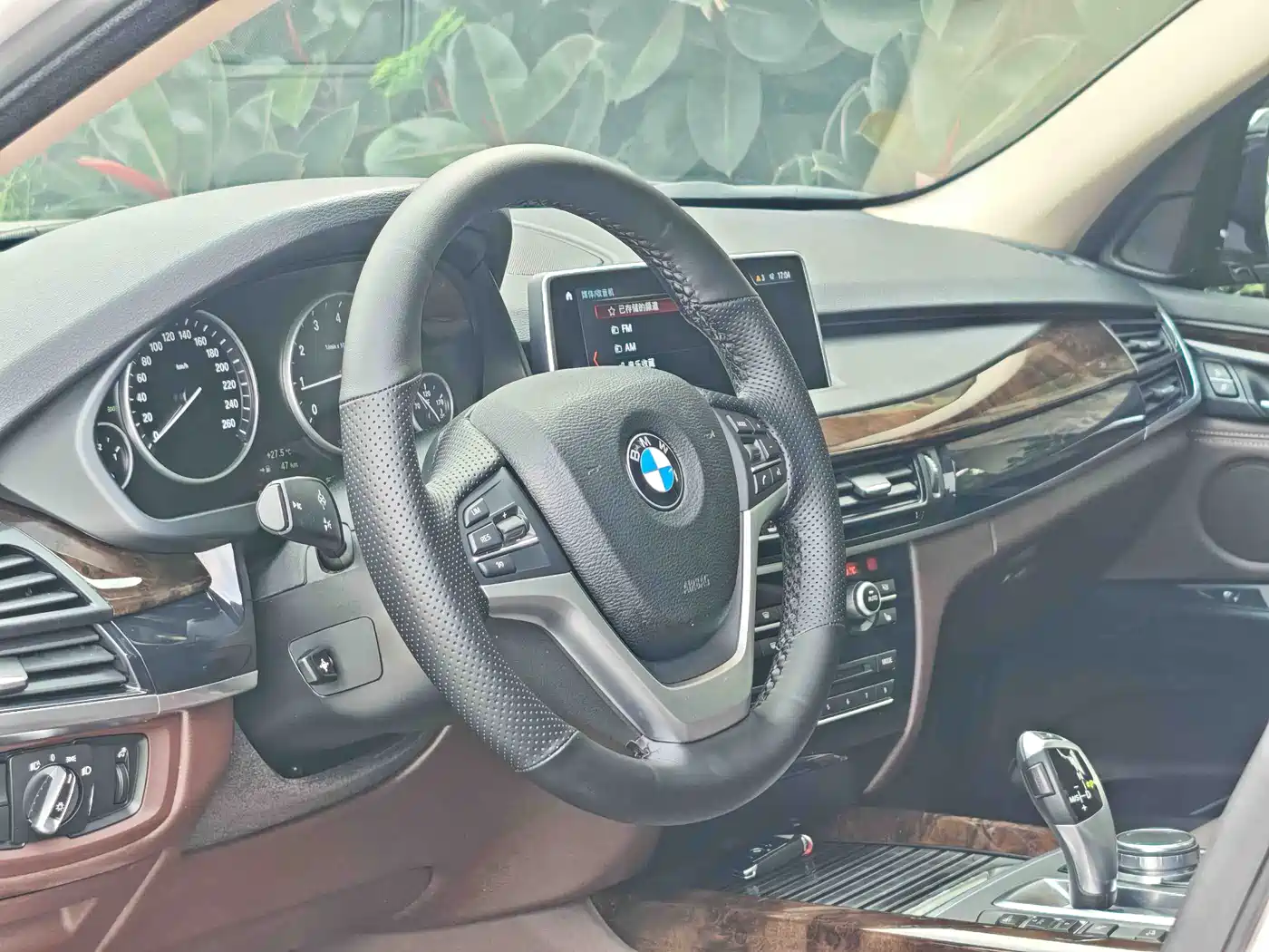 BMW X5 (Import) 2017 xDrive28i фото 11