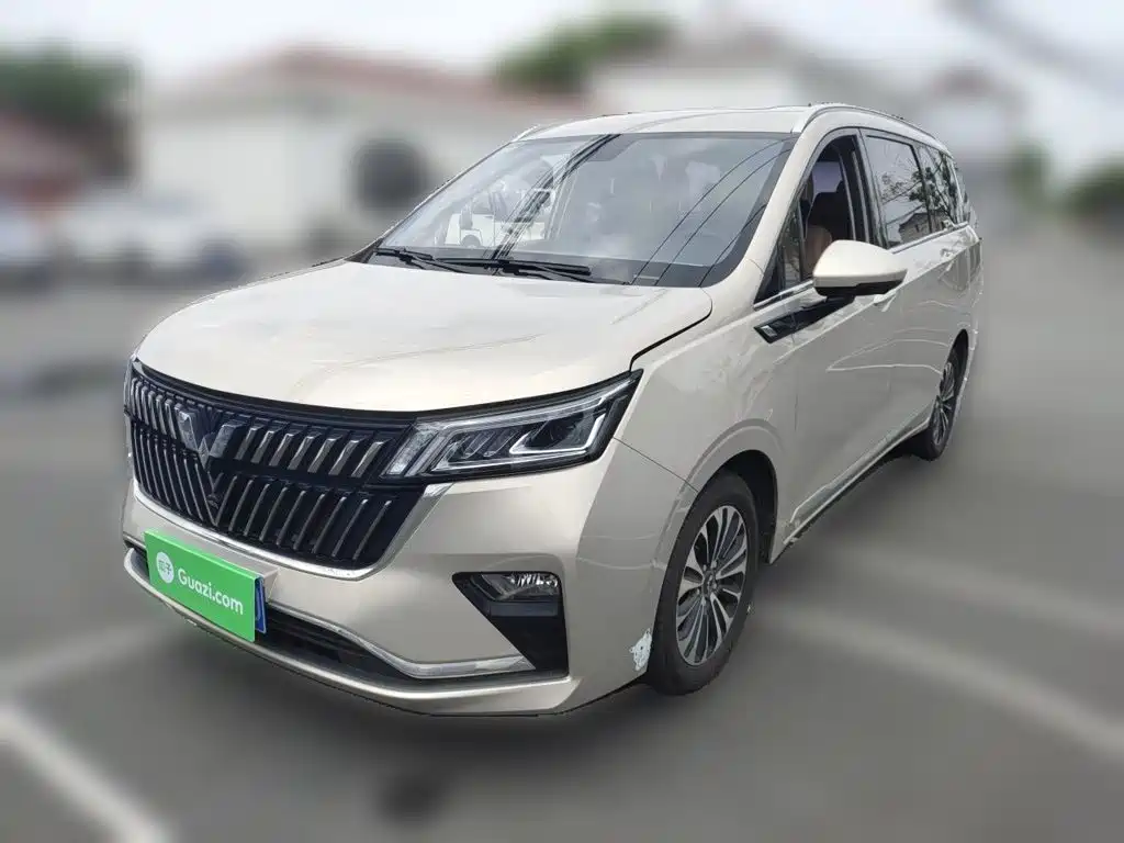 Wuling Motors Wuling Jiachen 2022 2022 1.5T CVT Exclusive Flagship Model