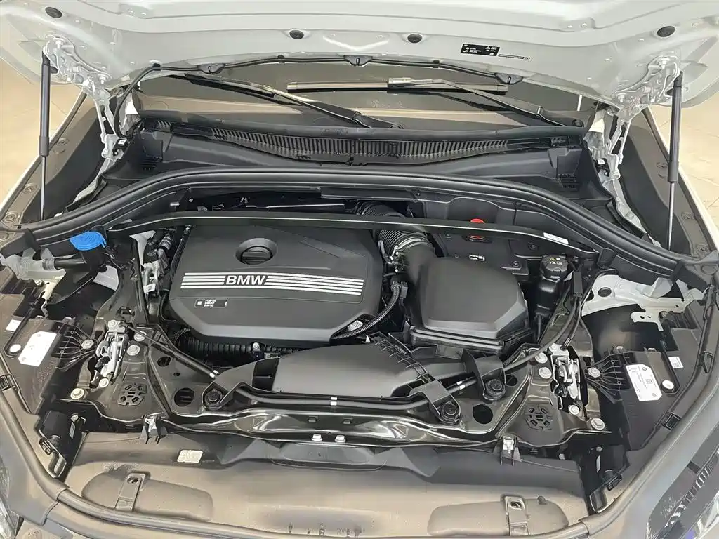 BMW X2 (Import) 2025 sDrive25i M Sport Package фото 15