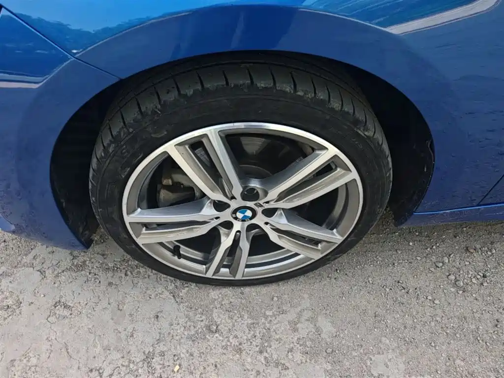 BMW 1 Series 2019 120i Leading M Sport Package фото 23