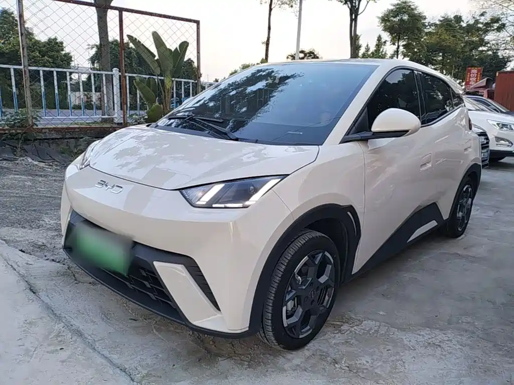 BYD Seagull 2024