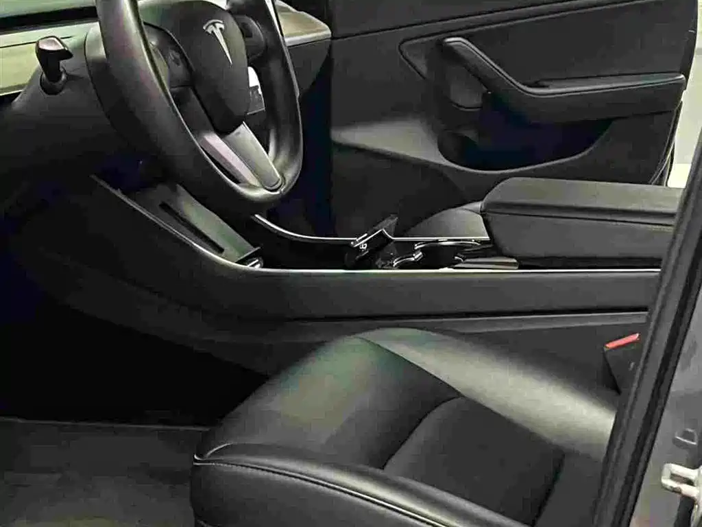 Tesla Model 3 (Import) 2019 2019 Performance High-Efficiency All-Wheel Drive Version