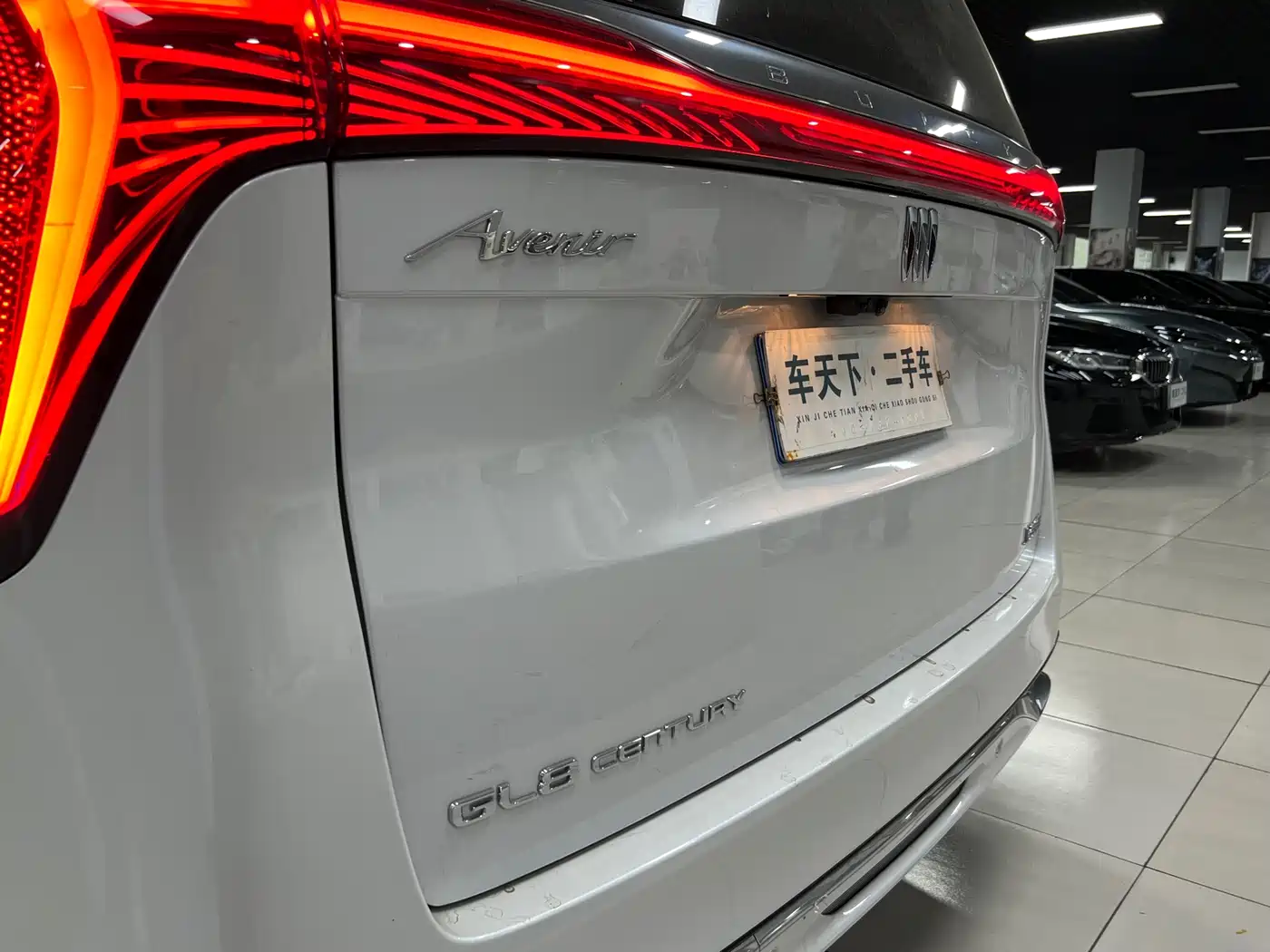 Buick Century 2025 2.0T 6-Seater World Edition фото 7