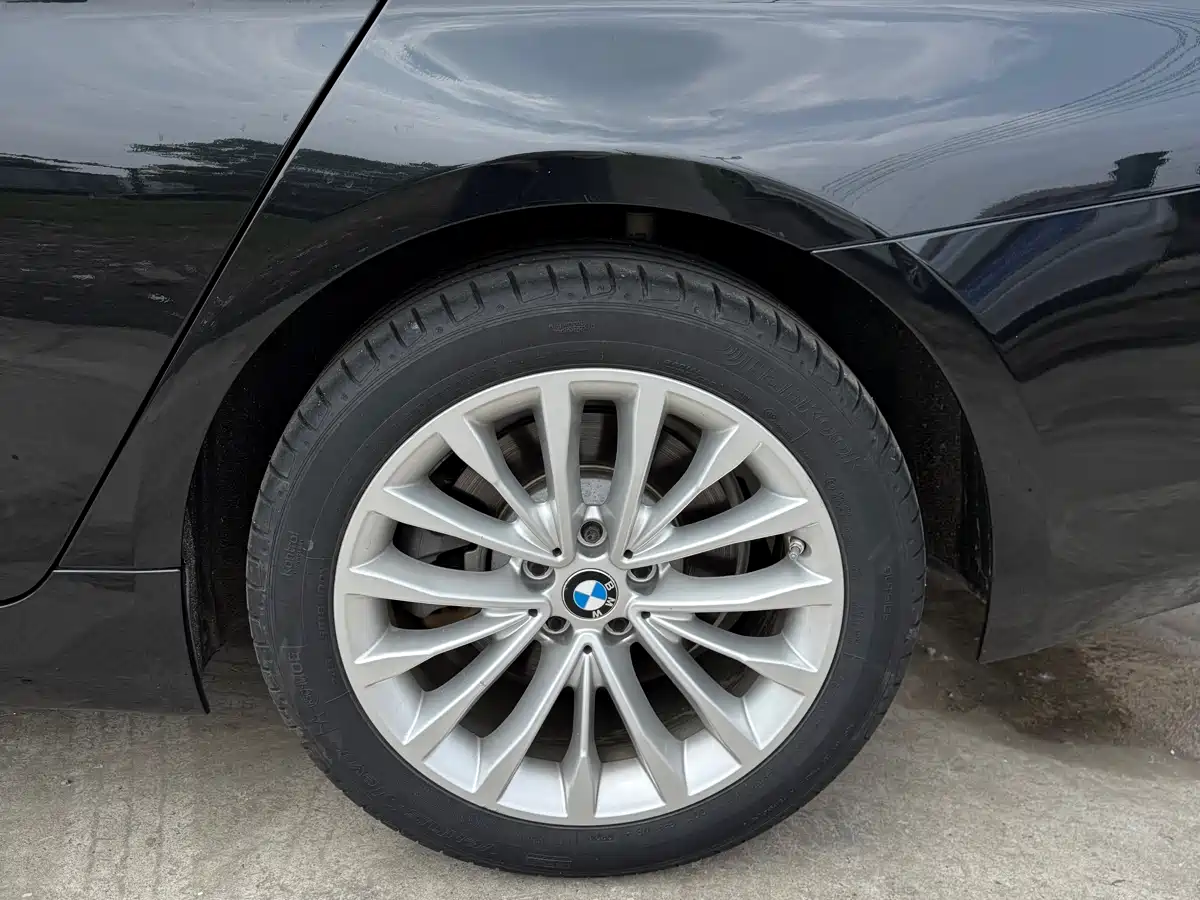 BMW 5 Series 2022 525Li M Sport Package фото 12