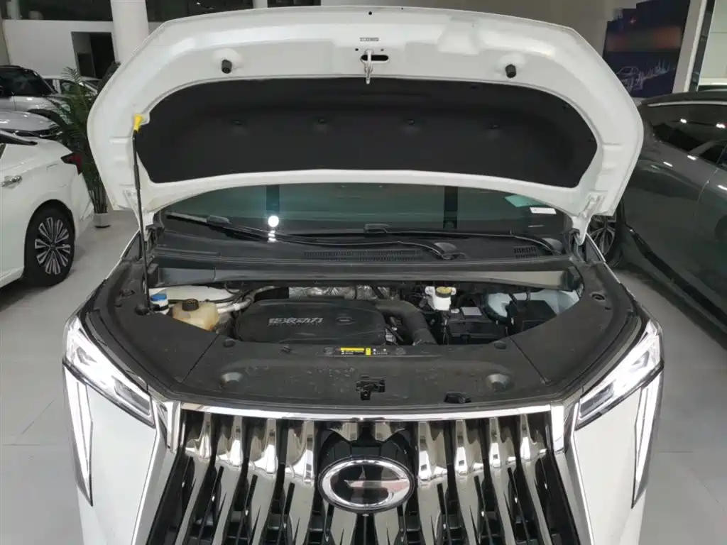 GAC Trumpchi Trumpchi M8 2024 Model Grandmaster Series 400T Pioneer Edition фото 10