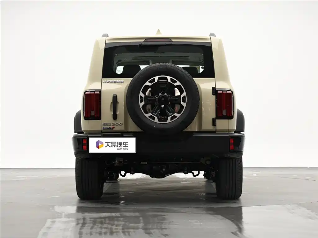 Tank 300 New Energy 2025 Hi4-T 36.7kWh Edition фото 4