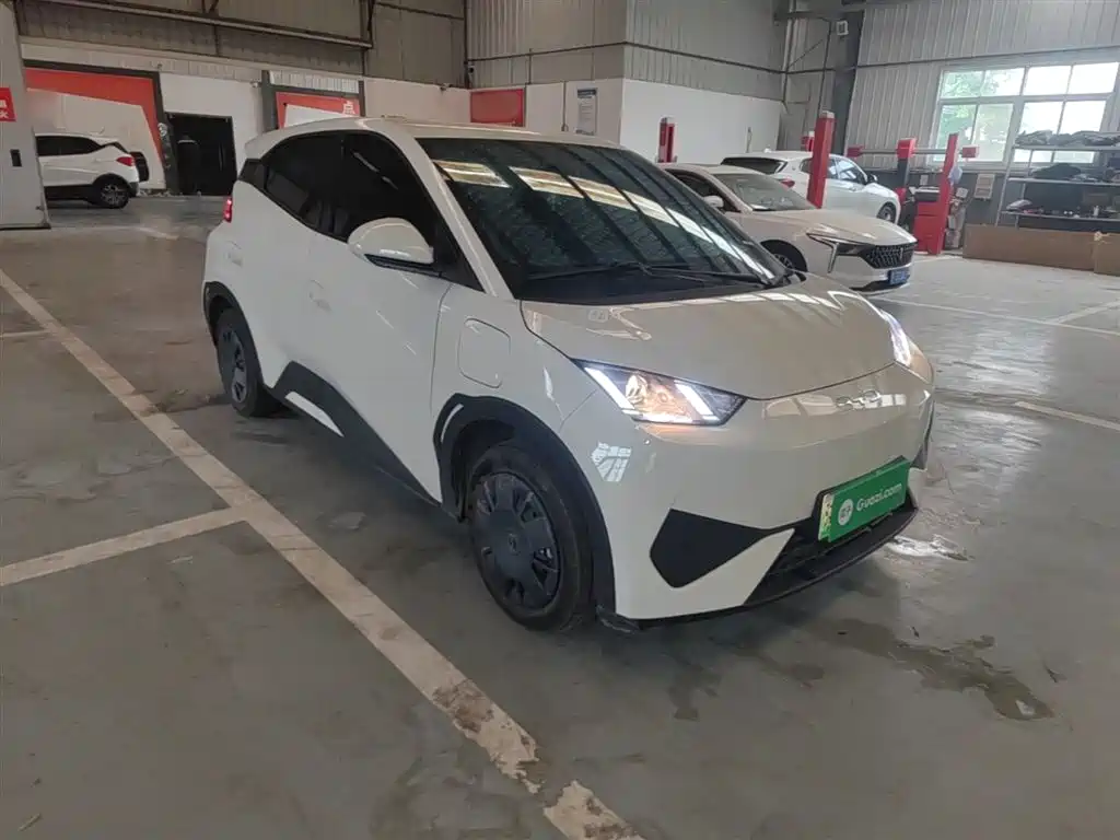 BYD Seagull 2025 Smart Drive Edition 305km Vitality Version фото 4