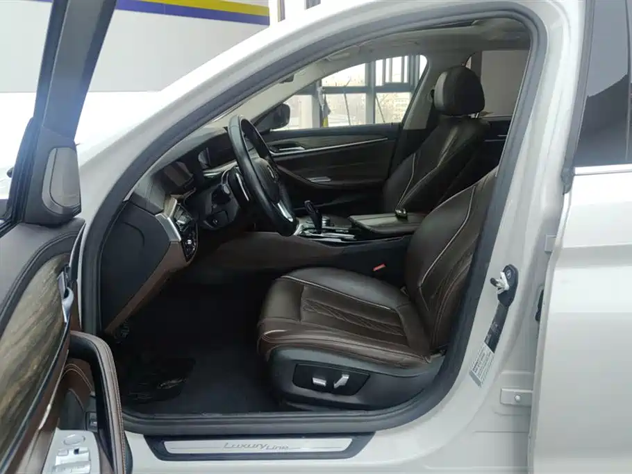 BMW 5 Series 2019 530Li Leading Luxury Package фото 9