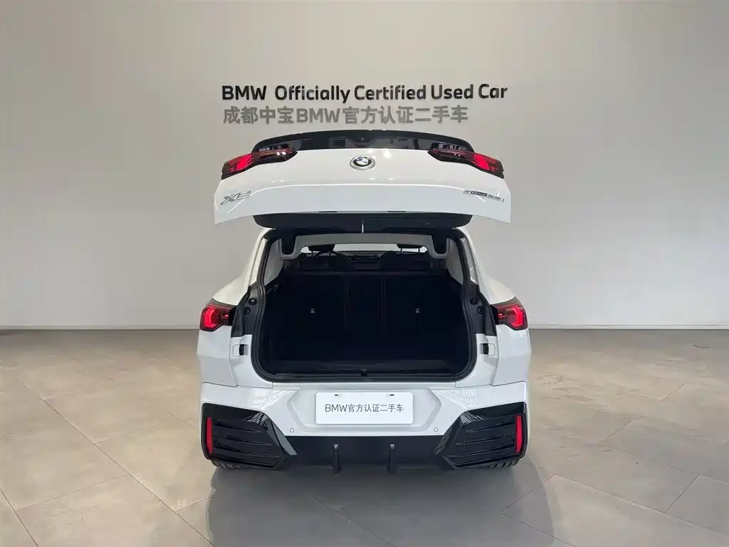 BMW X2 (Import) 2025 sDrive25i M Sport Package фото 6