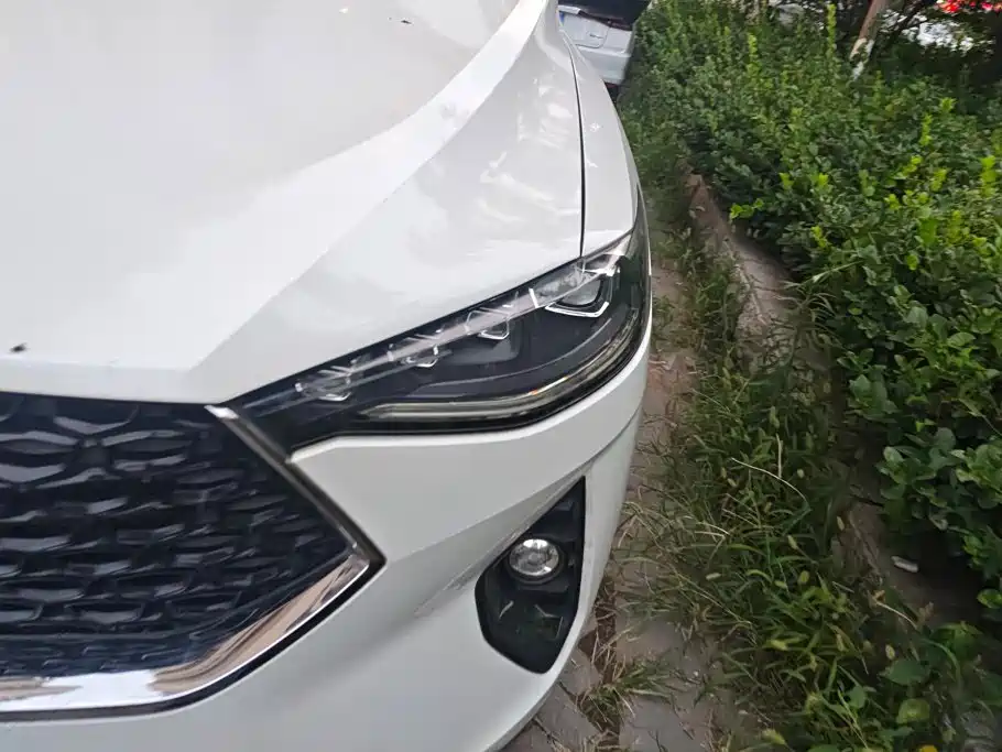 Haval F7x 2020 2019 2.0T 2WD Ultimate Smart Trend Edition