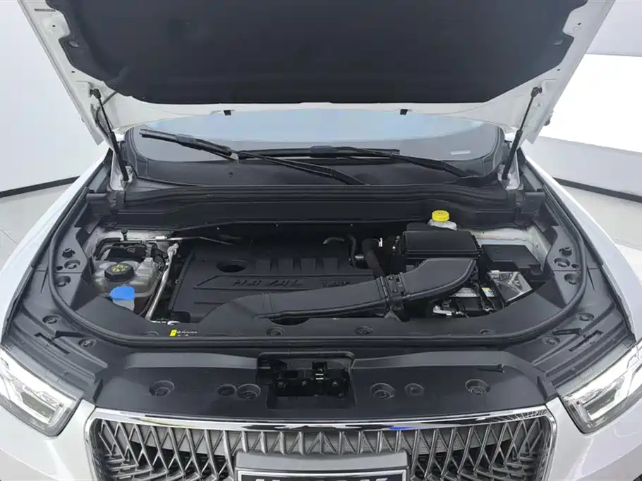 Haval H6 2021 Model 1.5T Automatic Champion Edition фото 10