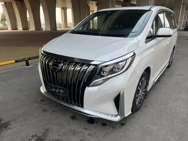 Trumpchi M8 Мастер, 390T, Премиум