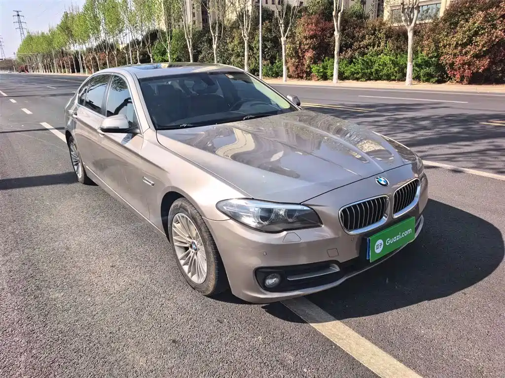 BMW 5 Series 2014 525Li Leading фото 21