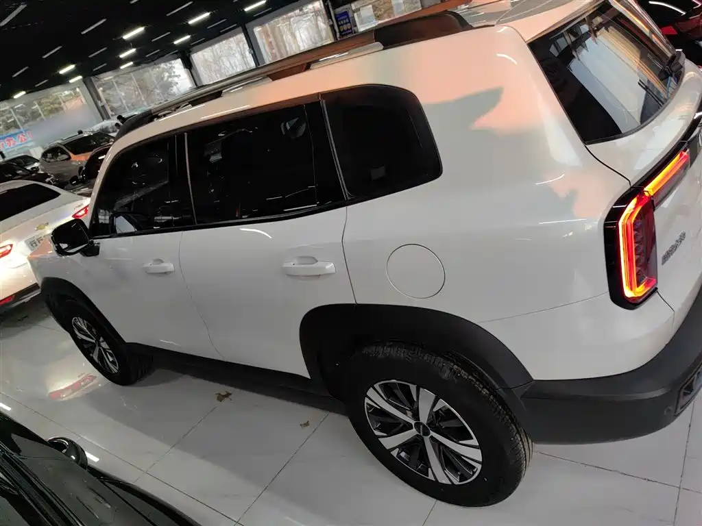 Haval Big Dog 2022 1.5T DCT FWD Labrador Edition фото 5