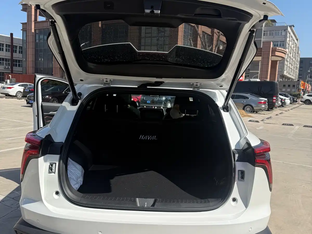 Haval Shenshou 2022 1.5T Smart Enjoyment Edition фото 14