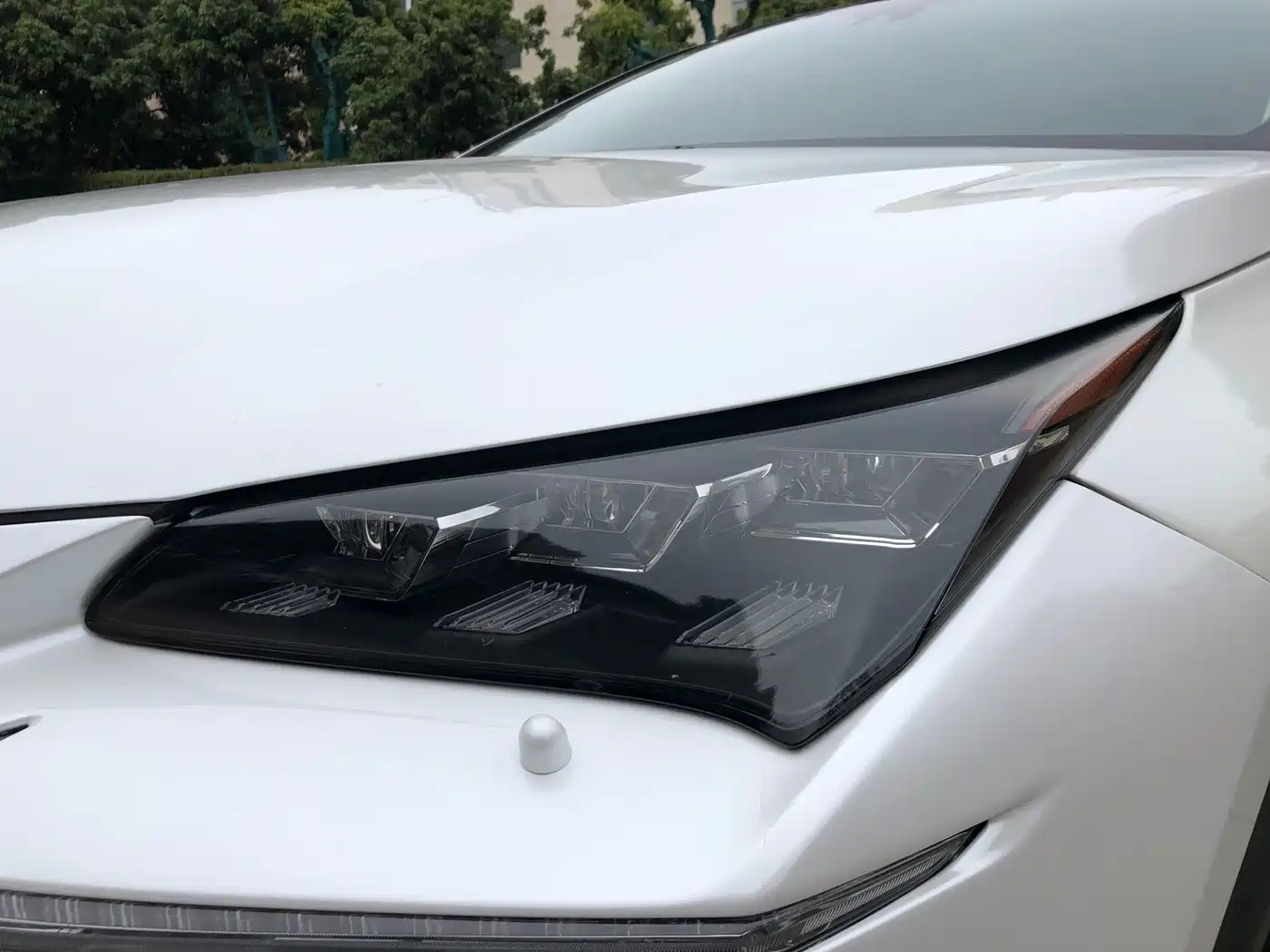 Lexus NX 2015 300h AWD F SPORT фото 20