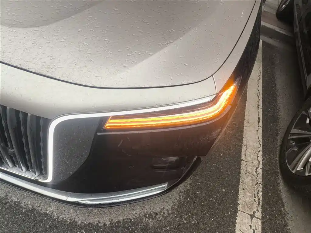 Hongqi H9 2020 3.0T Smart Connect Flagship 4-Seater фото 15