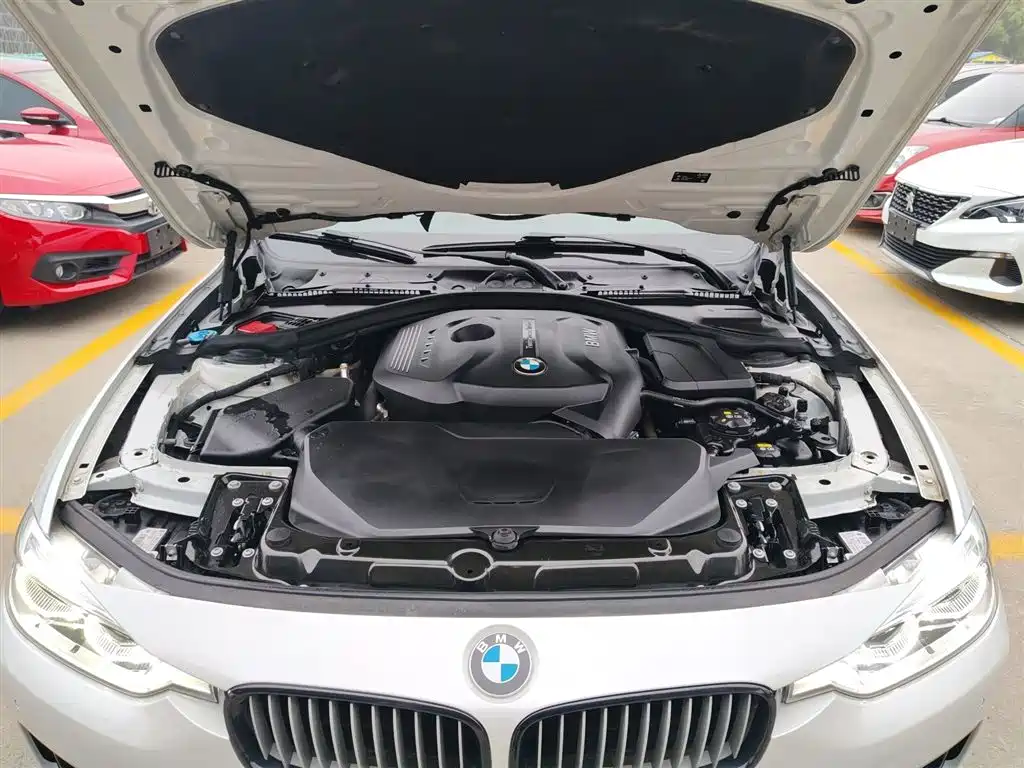 BMW 3 Series 2018 320Li Fashion Style фото 20