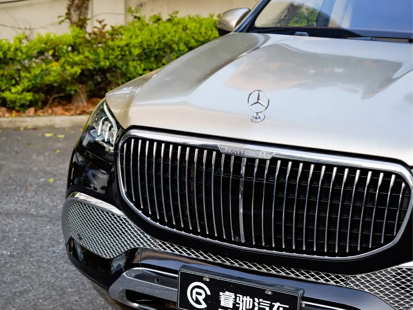 Mercedes-Benz Maybach GLS 2021 GLS 480 4MATIC фото 7