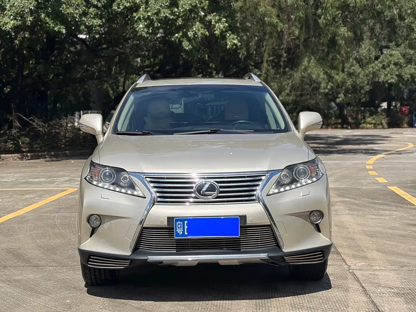 Lexus RX Classic 2014 2013 270 Elite