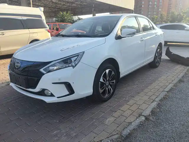 BYD QINXIN ENERGY