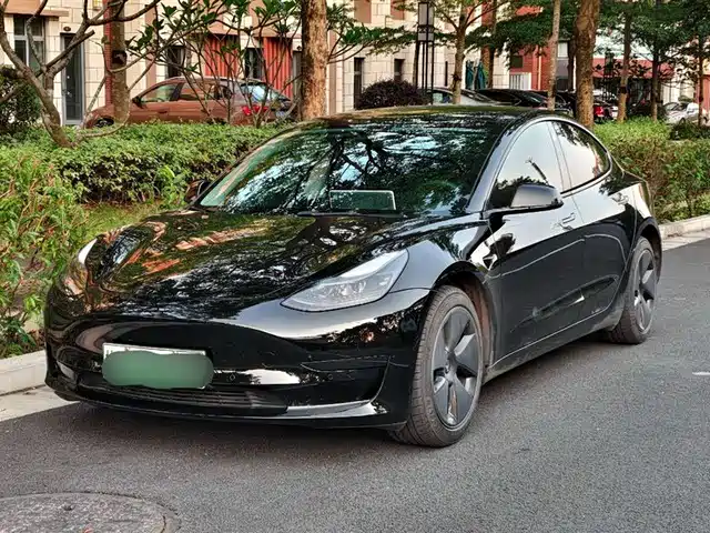 TESLA MODEL 3 2022