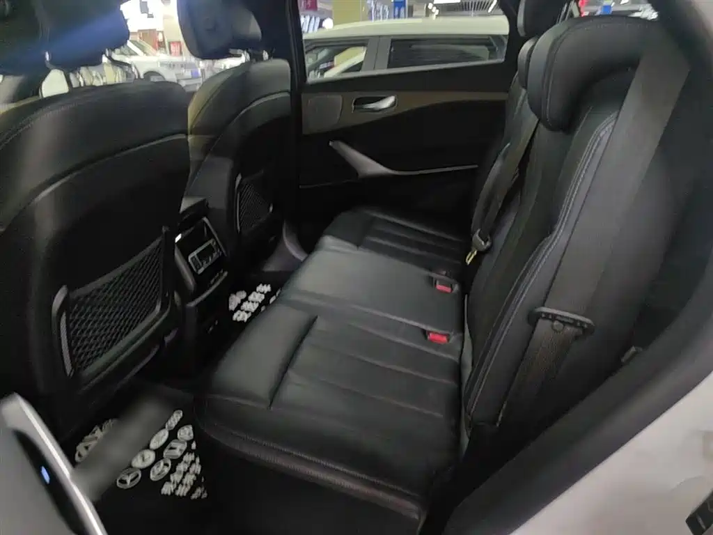 Denza X 2020 Model PHEV Flagship Edition фото 17