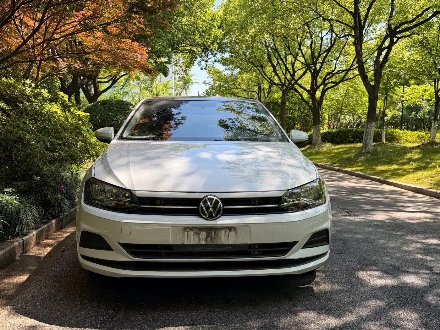 Volkswagen Polo 2023 Plus 1.5L Auto Joyful Living Edition фото 2