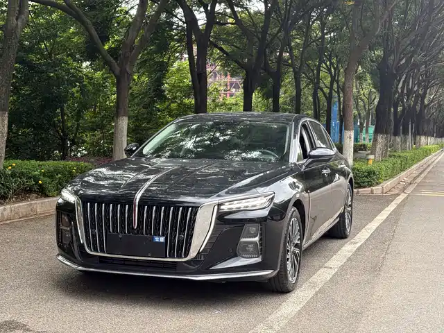  Hongqi Hongqi H5 2023 2.0T Auto Smart Connect Flag Enjoy