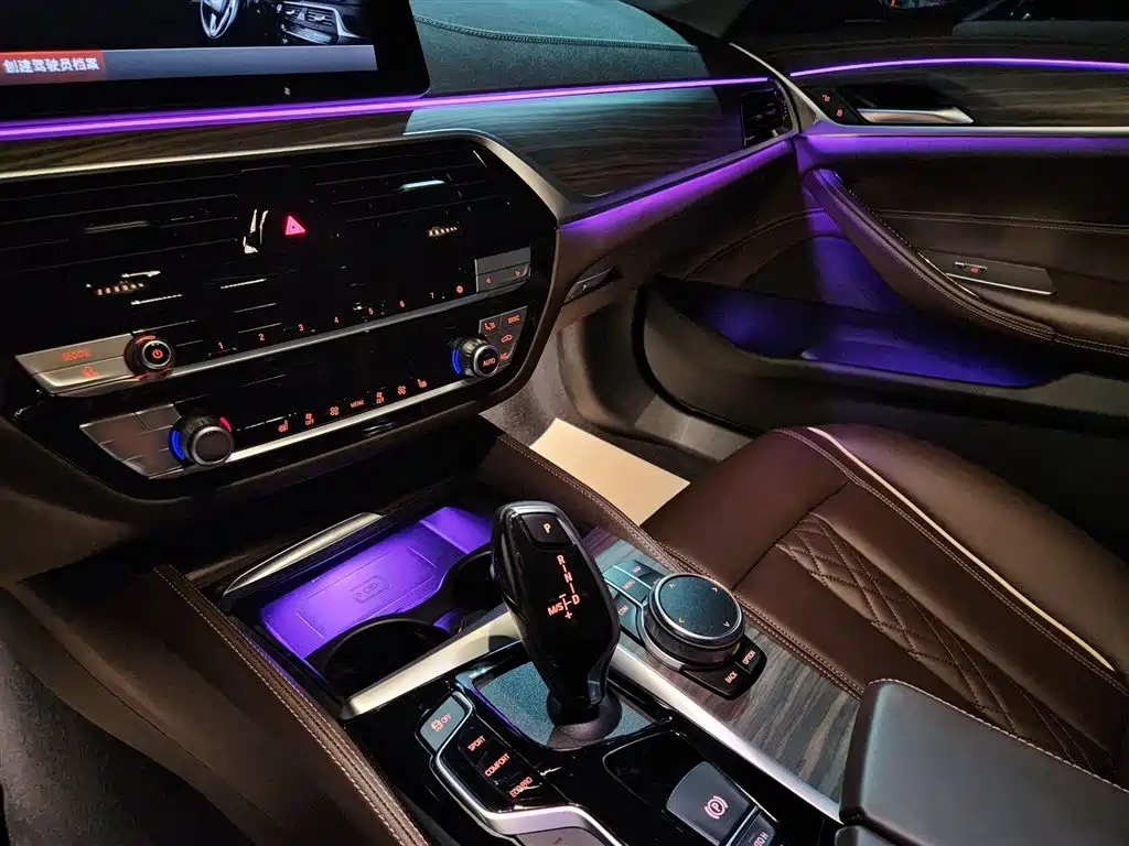 BMW 5 Series 2020 530Li Leading Luxury Package фото 14