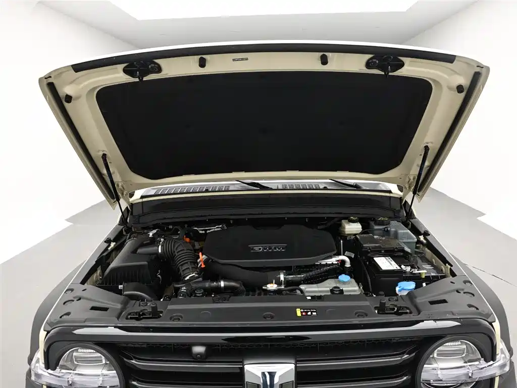 Tank 300 New Energy 2025 Hi4-T 36.7kWh Edition фото 16