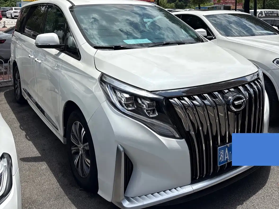 GAC Trumpchi Trumpchi M8 2020 Pilot 390T Luxury Edition