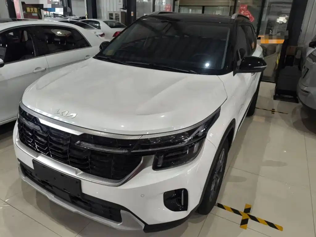Kia Seltos 2024 2023 1.5L CVT Luxury Edition