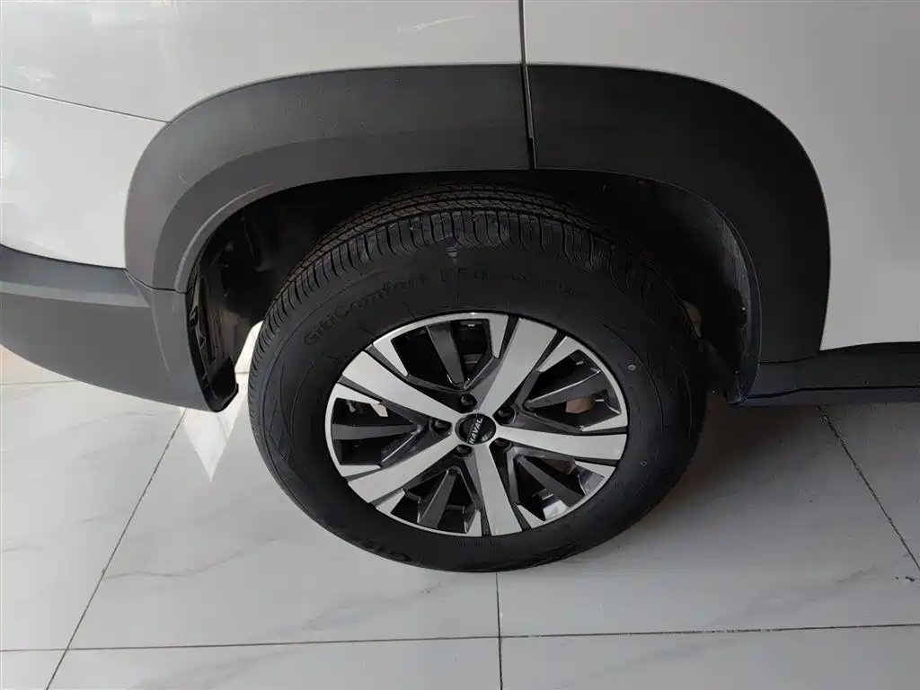Haval Big Dog 2022 1.5T DCT FWD Labrador Edition фото 26