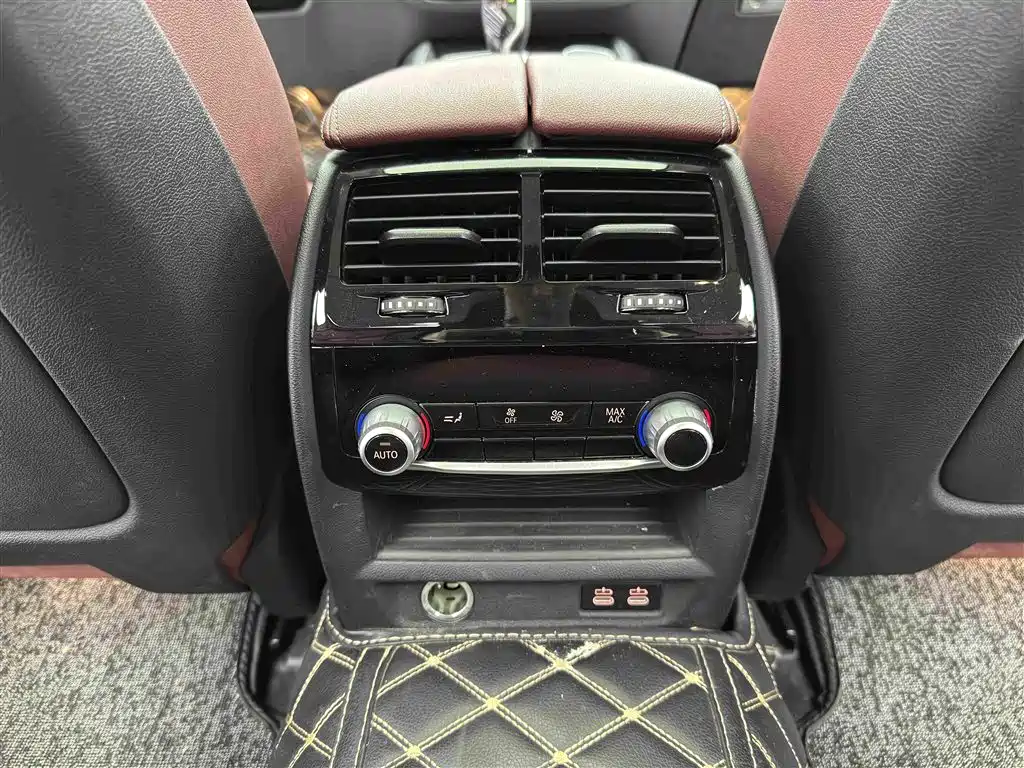 BMW 5 Series 2021 530Li Premium Luxury Package фото 11