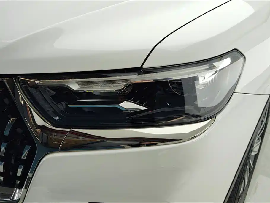 Haval H6 2023 National Trend Edition 1.5T Automatic Champion фото 5