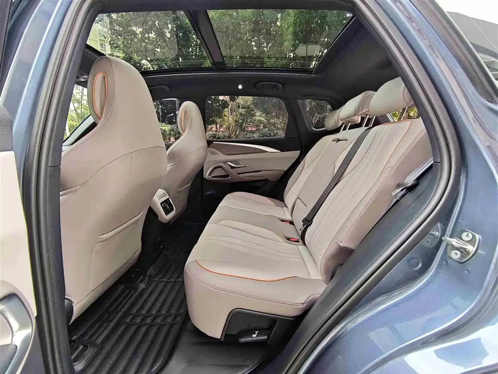 BYD Song Pro New Energy 2024 Glory Edition DM-i 110KM Excellence фото 7