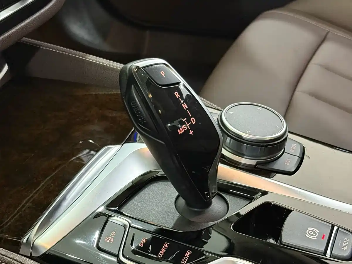 BMW 5 Series 2020 525Li Luxury Package фото 7