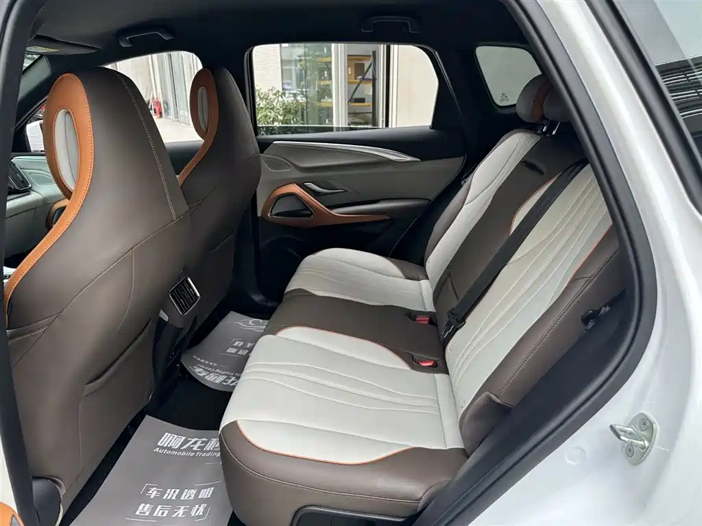 BYD Song Pro New Energy 2022 DM-i 51km Luxury фото 15