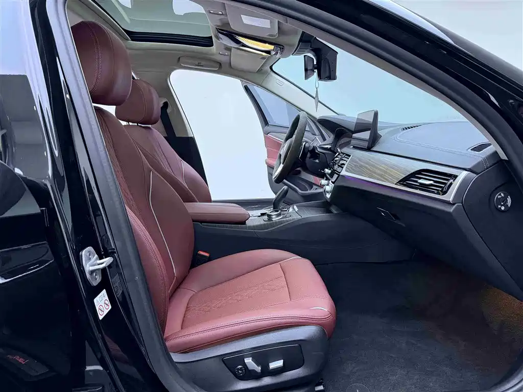 BMW 5 Series 2021 530Li Leading Luxury Package фото 10
