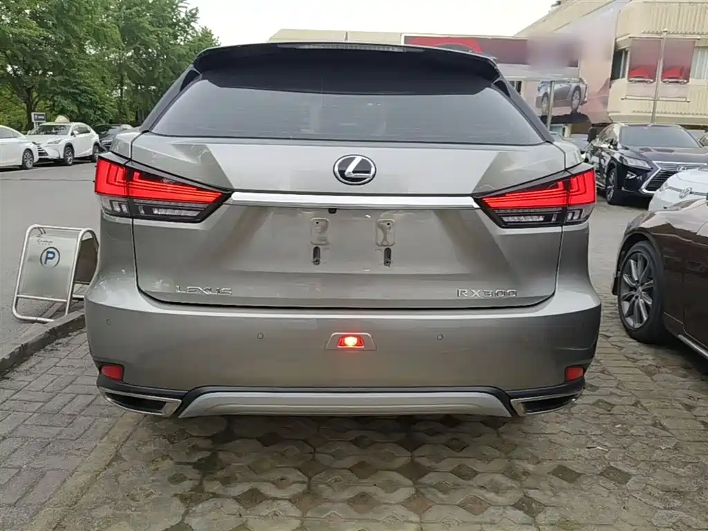 LEXUS RX