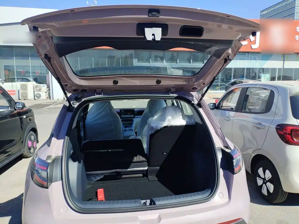 Geely Galaxy Starry Wish 2026 2026 Edition 310km Youth Version
