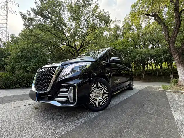 Mercedes-Benz Vito 2.0T, Бизнес, 7 мест