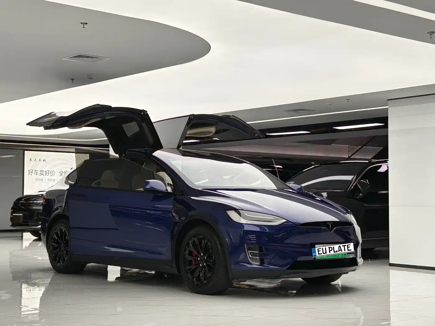 TESLA MODEL X