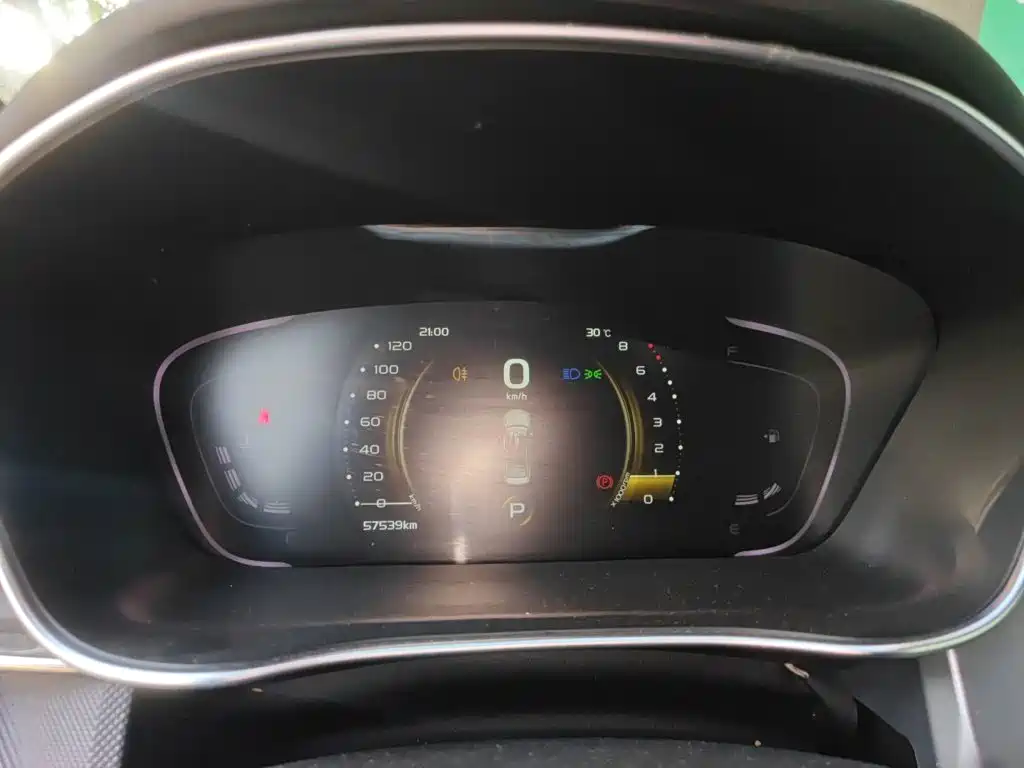 Фото 8 - Geely Binrui