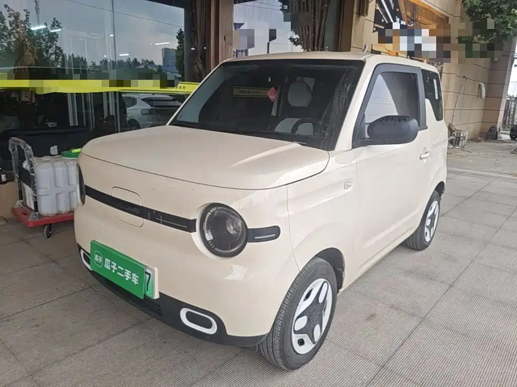 Geely Galaxy Panda 2025 Panda mini 210km Vitality Bear