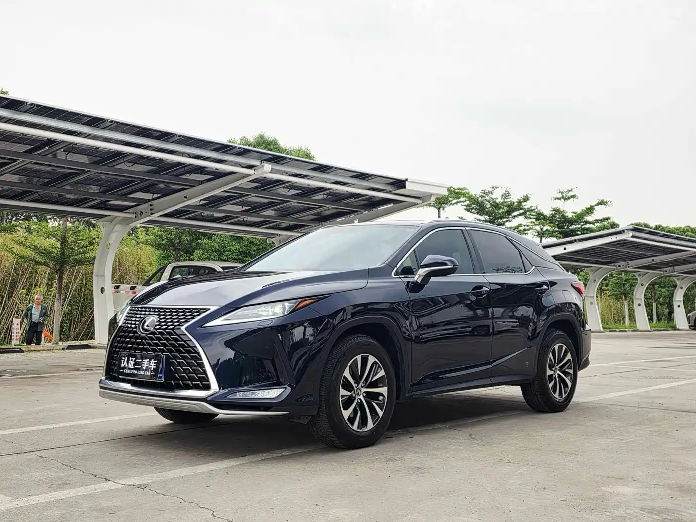 LEXUS RX